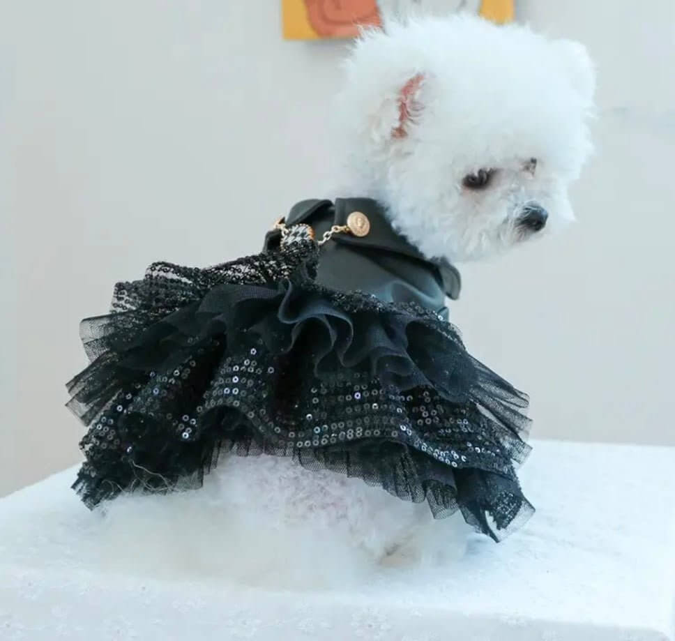Coastal Couture Black Leather Sequin Tutu Dog Dress | Luxury Pet Apparel