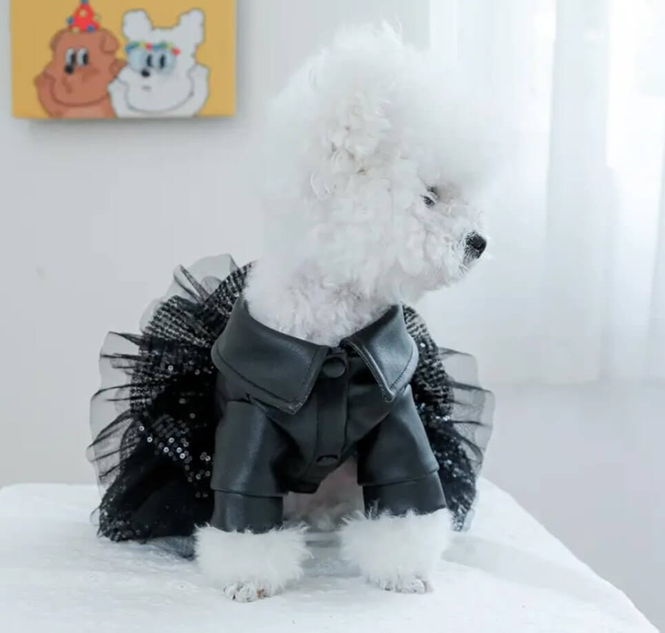 Small Dog Black Leather & Sequin Tutu Dress - Coastal Couture Dog Clothes, Glamorous Pet Outfit
