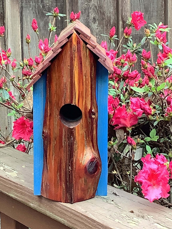 Handmade cedar birdhouse with rustic design, predator shield, and blue accents. Unique Mississippi-made outdoor decor.