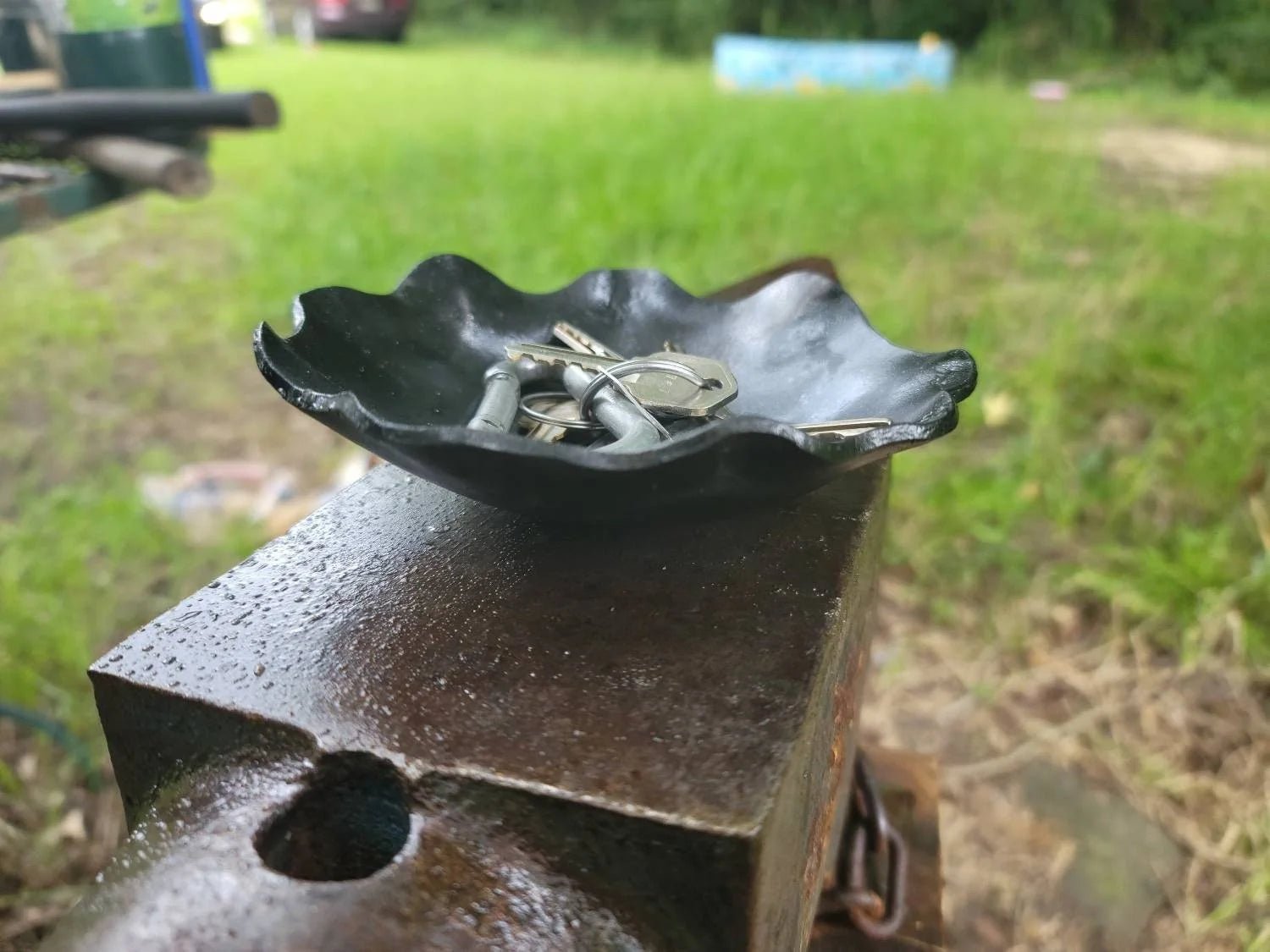 Forged Wavy Dish