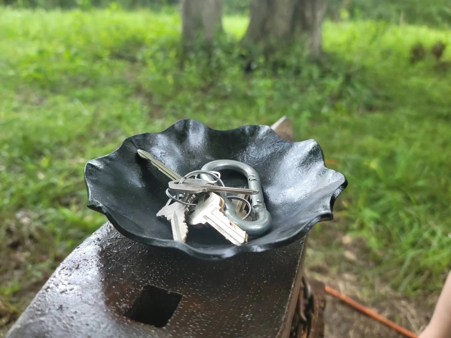 Forged Wavy Dish