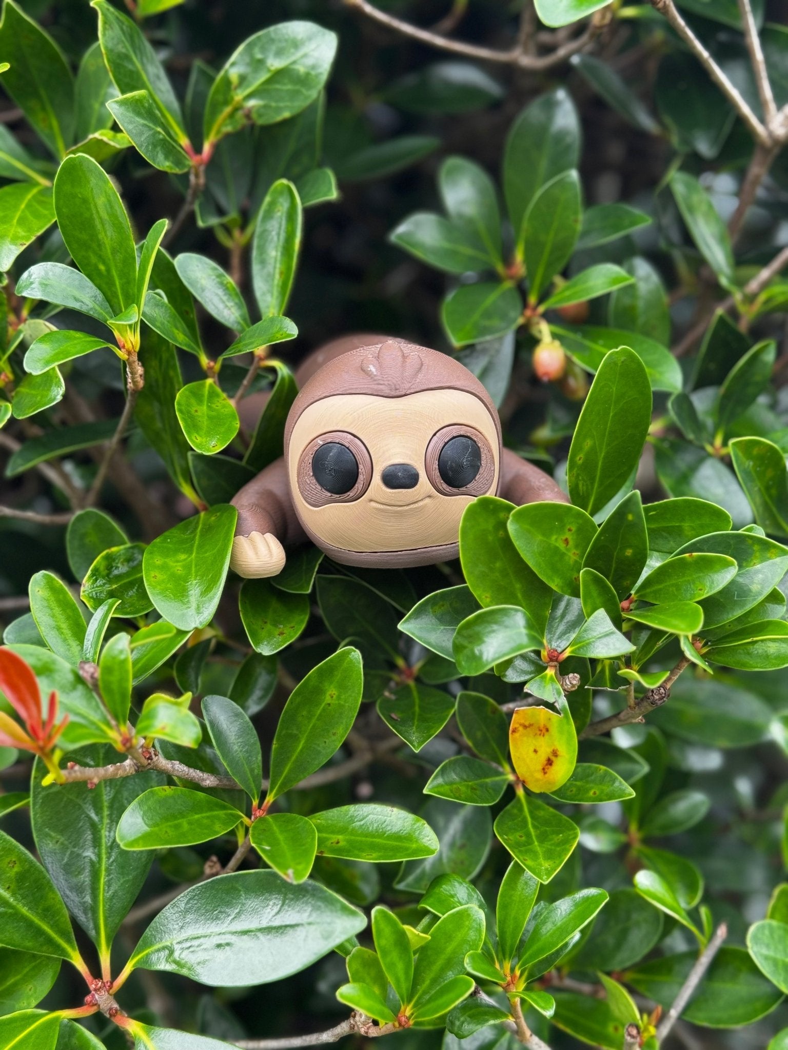 3D Printed Sloth Fidget Toy for Stress Relief | Sensory Toy for Anxiety | Main Street Collective