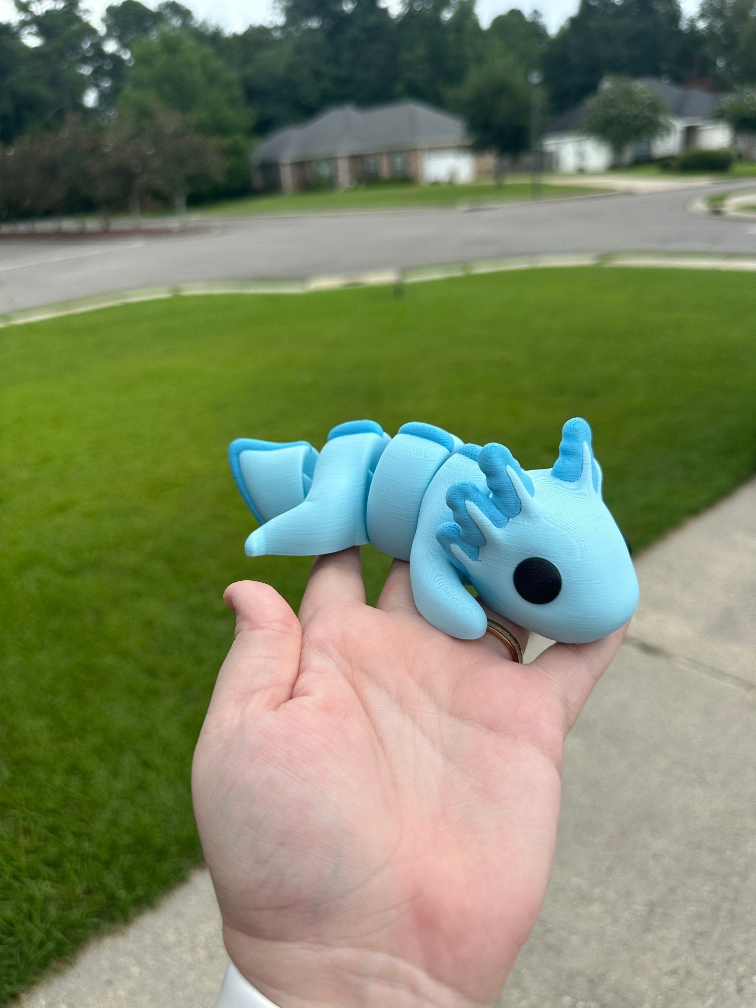 Blue Axolotl Fidget Toy, Large Sensory Toy by Mushroom Lady Co. at Main Street Collective - 3D Printed Cute Axolotl