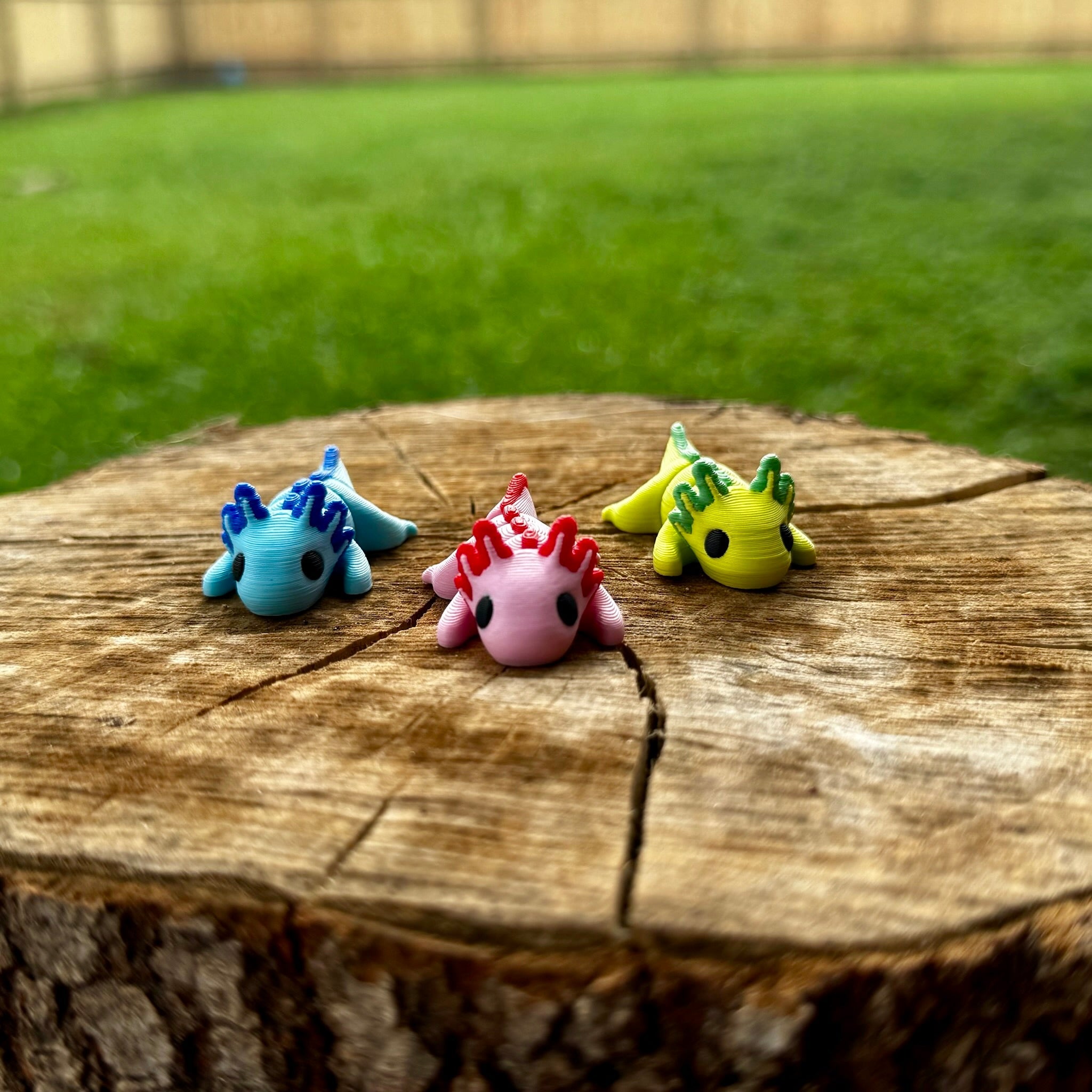Axolotl Fidget Bundle