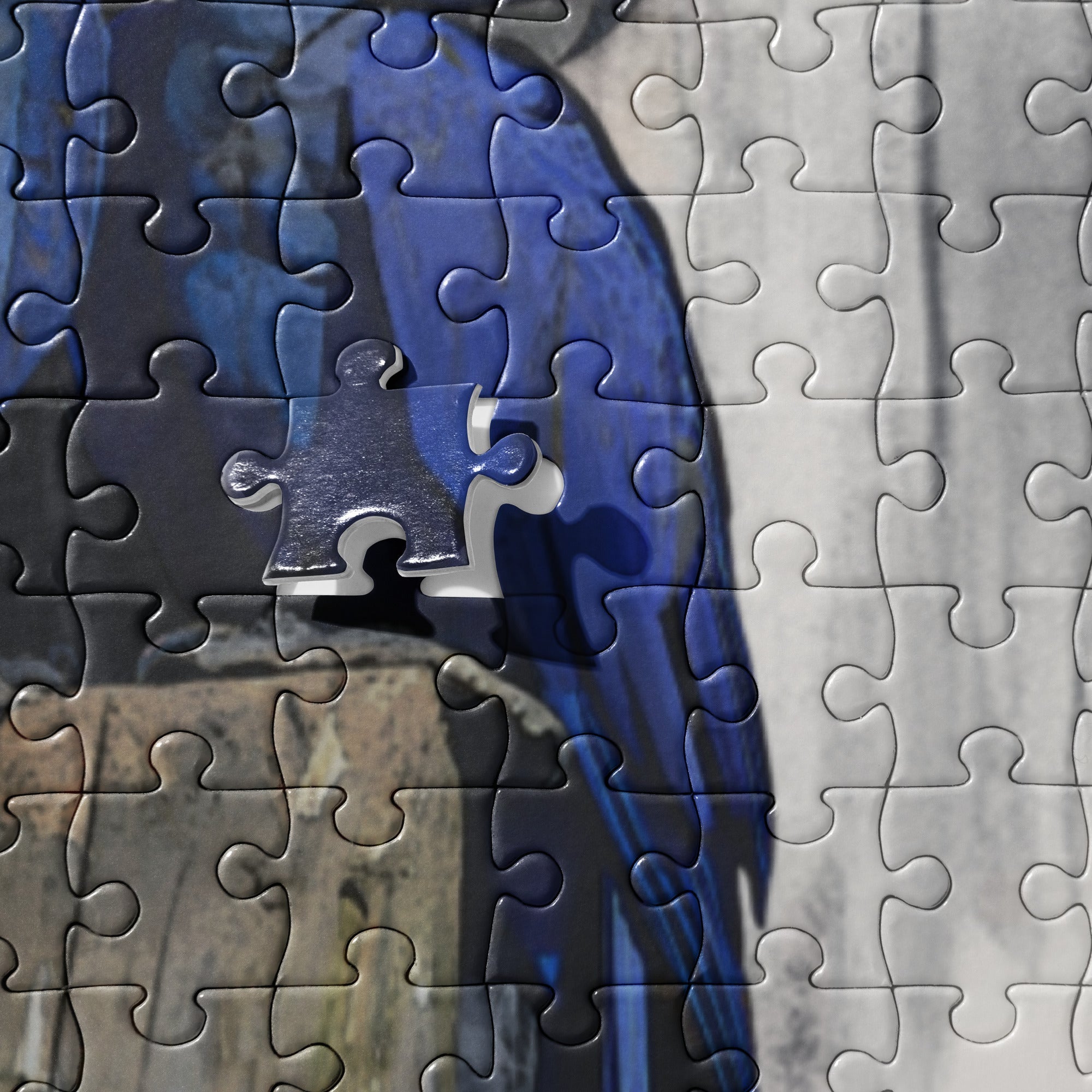 Hyacinth Macaw Jigsaw Puzzle: Incomplete puzzle with a missing piece, featuring a colorful macaw.