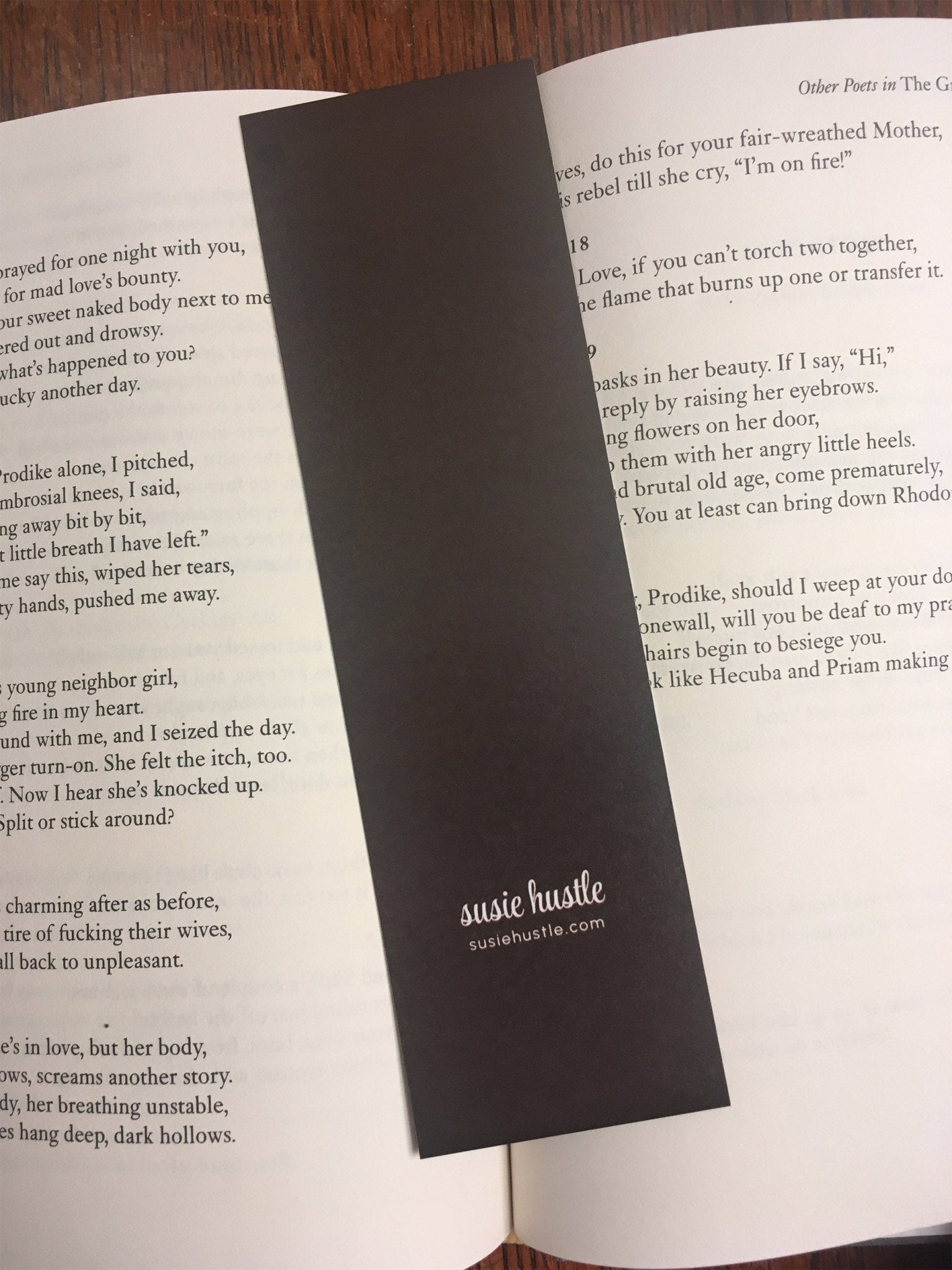 “No Risk. No Story.” Raven Inspirational Bookmark