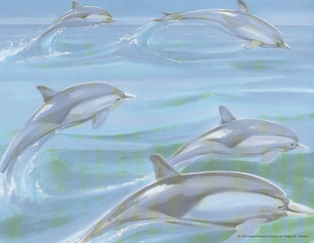 A & H Creative Names, The Perfect Gift for Every Occasion, First Name