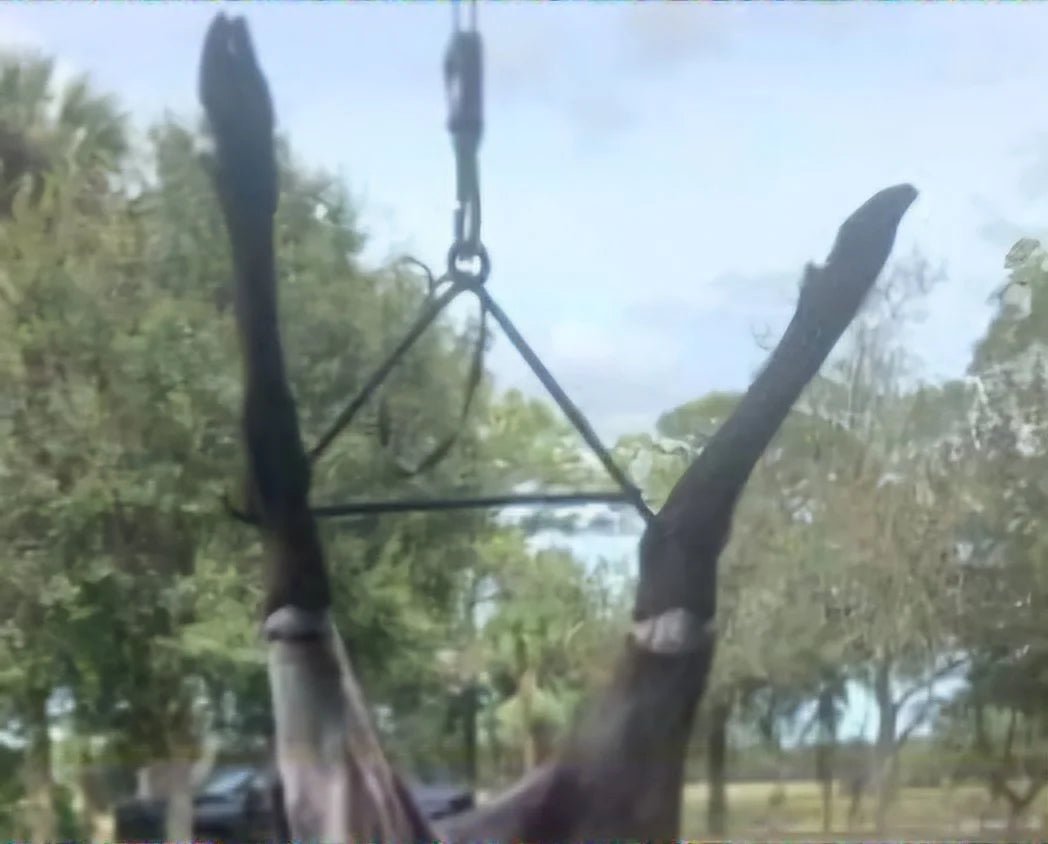 Forged Large Game Gambrel