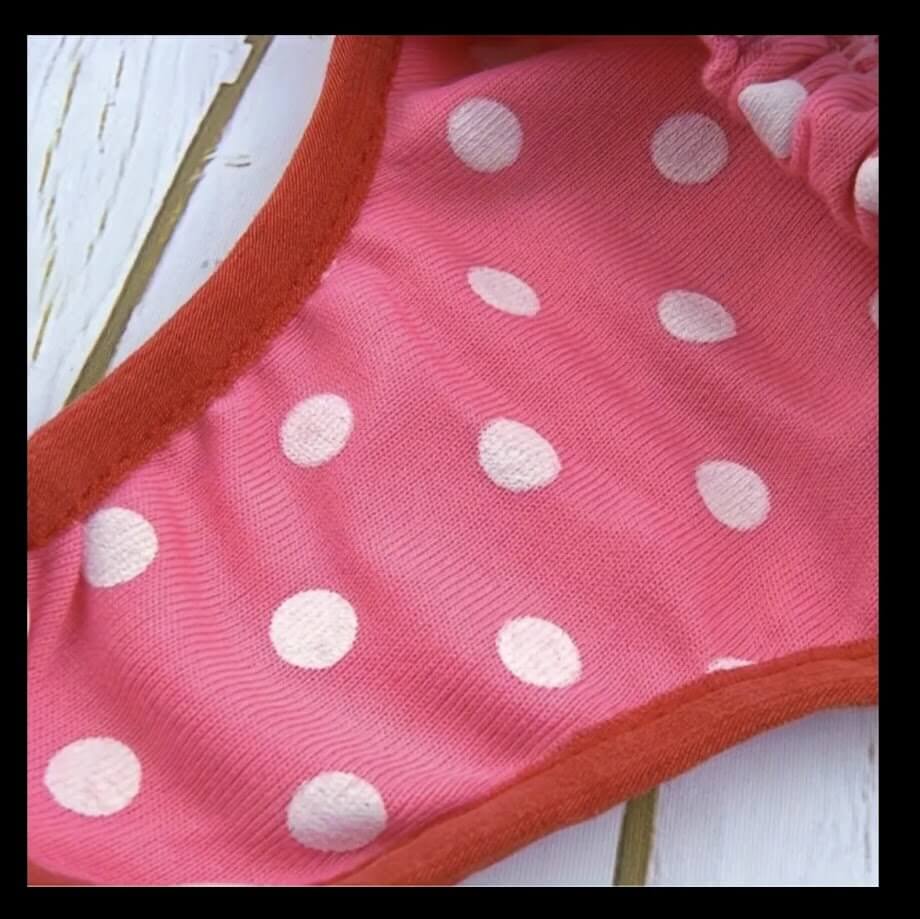 Rainbow and Red Polka dot Doggie Diaper with Suspenders by Coastal Couture Pet Boutique | Main Street Collective Mississippi Handmade Gifts and Marketplace