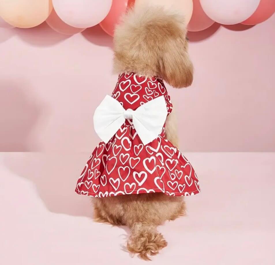Red Dog Dress with White Hearts & Bow - Valentine's Day Pet Outfit | Coastal Couture