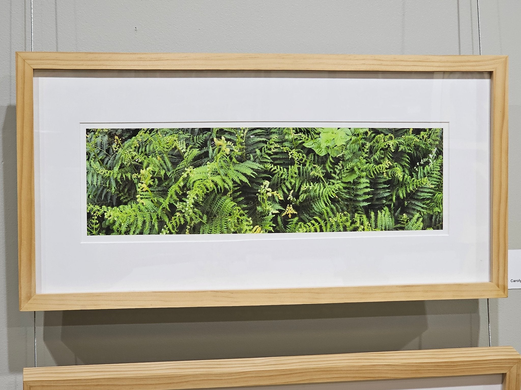 Framed "Forrest Flower" print by Carolyn Norton. Archival pigment print of lush green ferns.