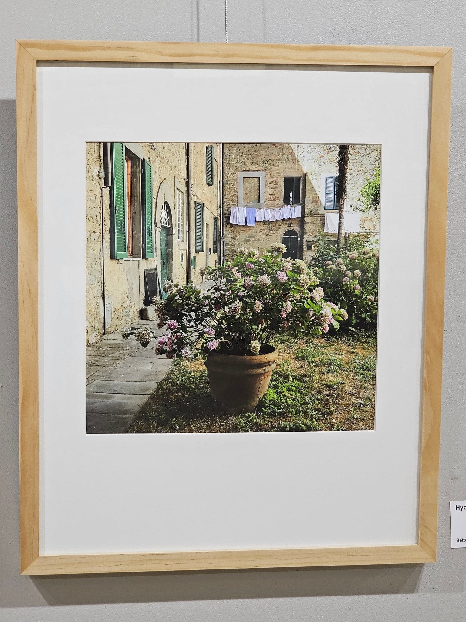 Framed fine art photograph: Hydrangeas in Cortona Courtyard by Betty Press. Italian floral garden scene.