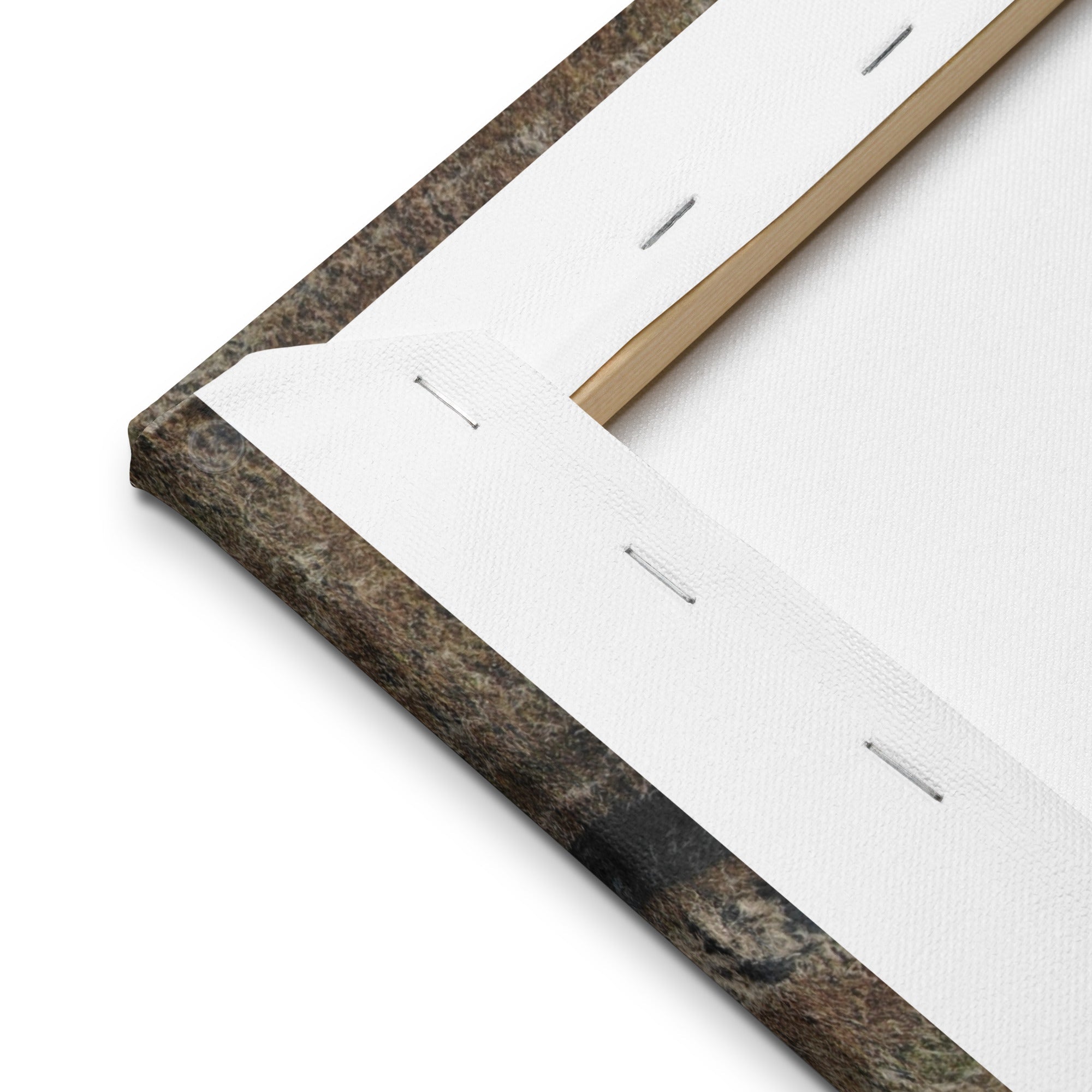 Thin Canvas Back Close-up: Wood Frame, Staples, & Wall Art Details