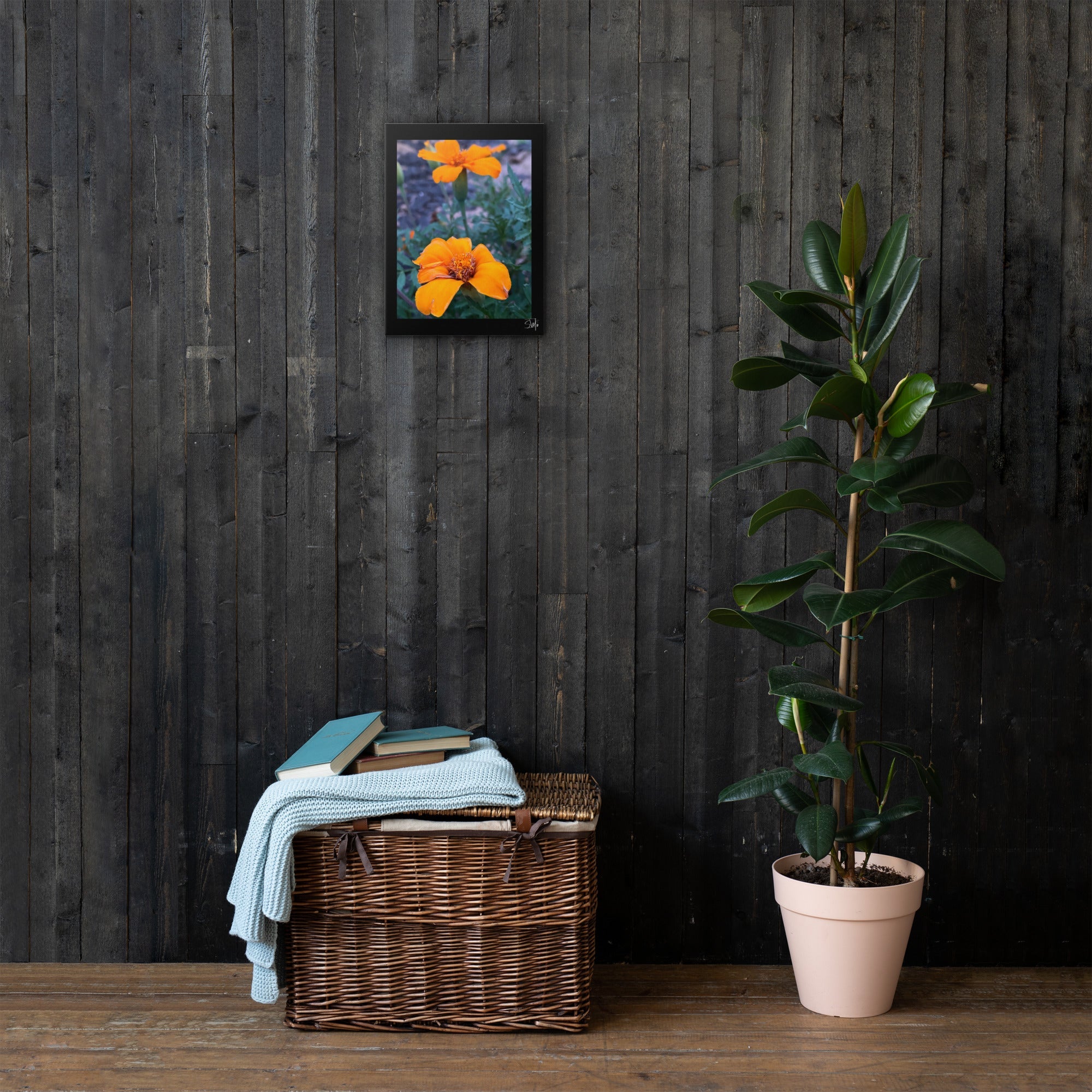 Orange flower canvas art print by Main Street Collective: Modern floral home decor on rustic wall.