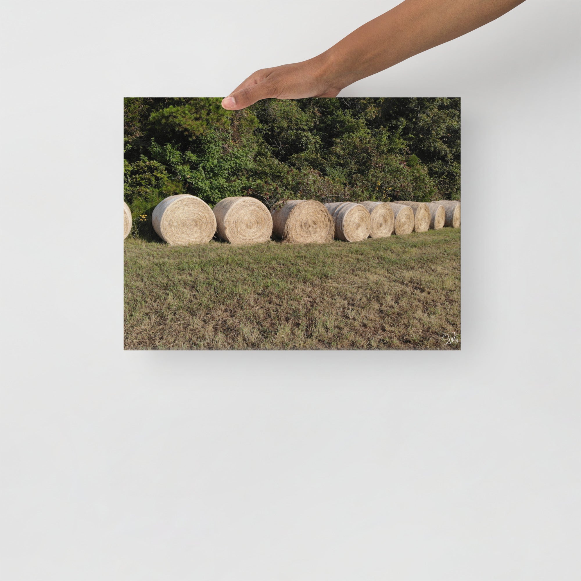 Hay Bales Canvas Print: Row of round hay bales in field on thin canvas art. Farm scene.
