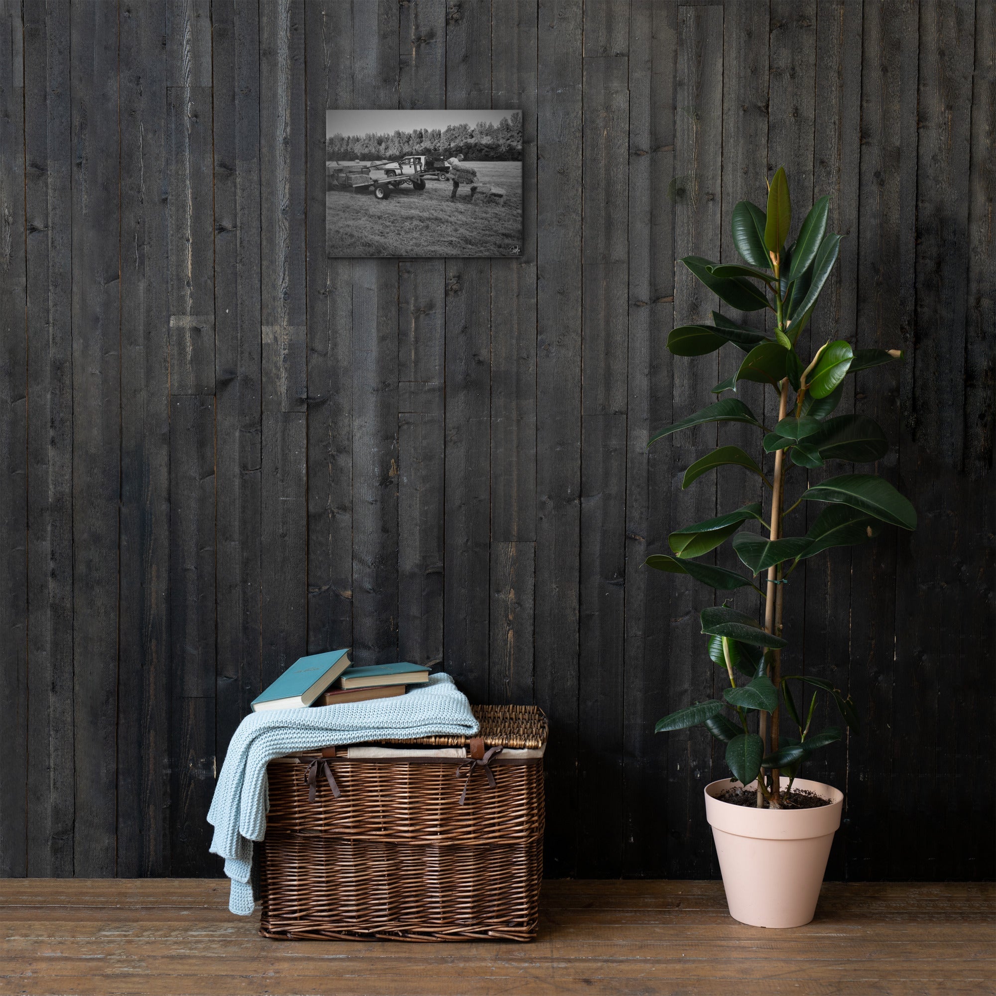 Main Street Collective HAY FEVER canvas art with farm scene on wall above trunk, plant, books. Room decor.