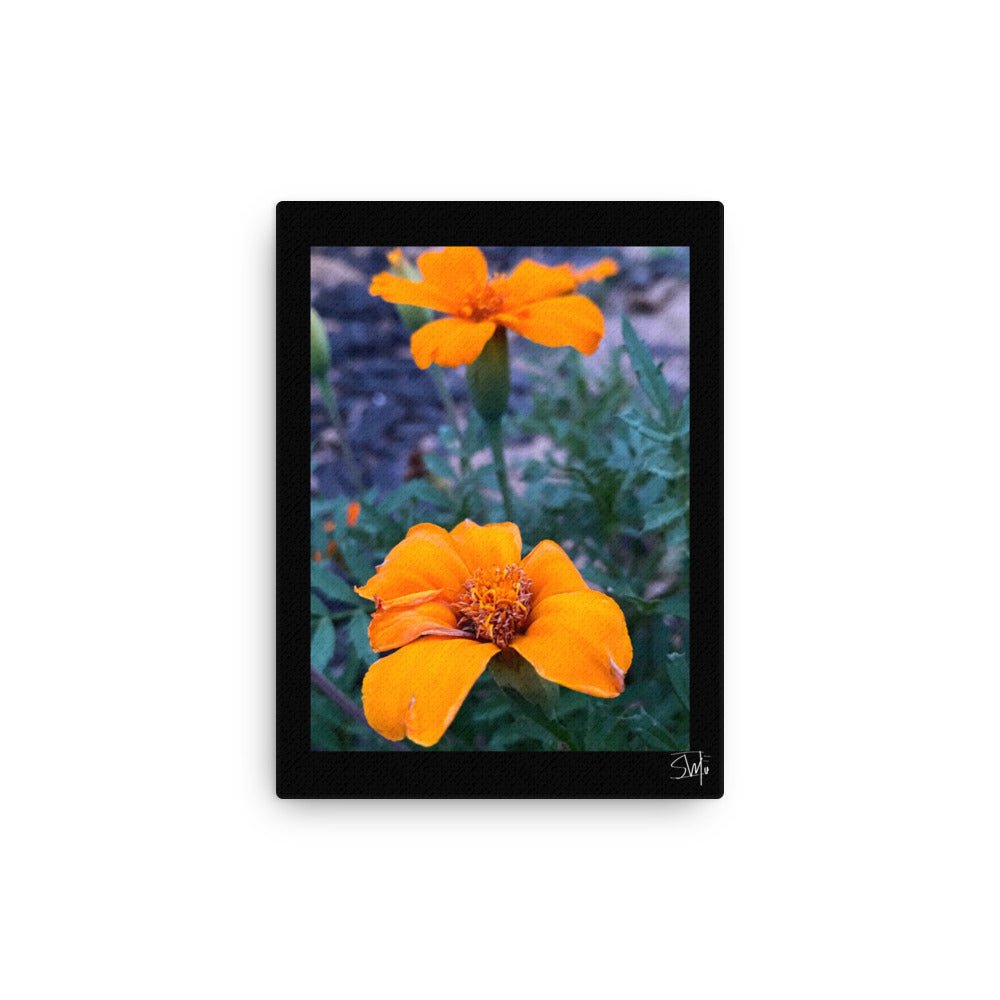 Orange Flower Canvas Print: Close-up of vibrant flowers on a modern, thin canvas with a black frame.