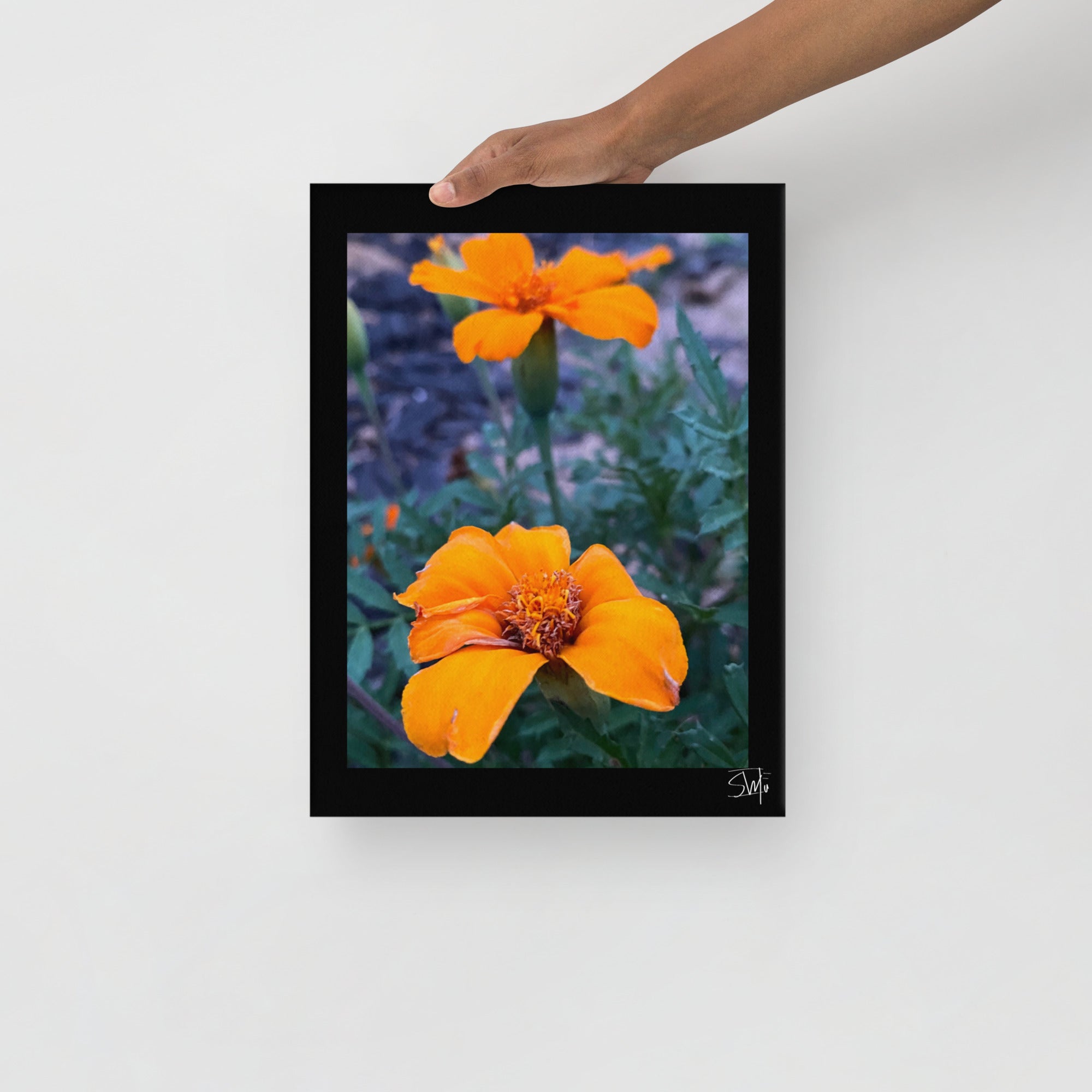 Orange Flower Canvas Art Print - Main Street Collective, thin framed floral wall decor. Gallery-quality ready to hang canvas