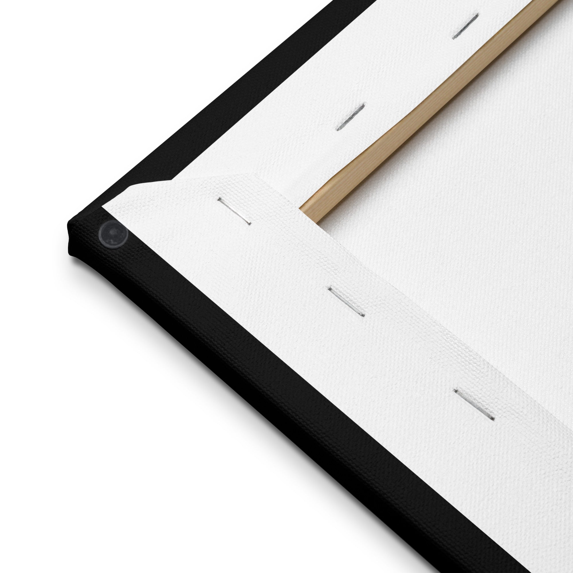 Corner view: Stretched canvas print with a black edge. Modern floral wall art.