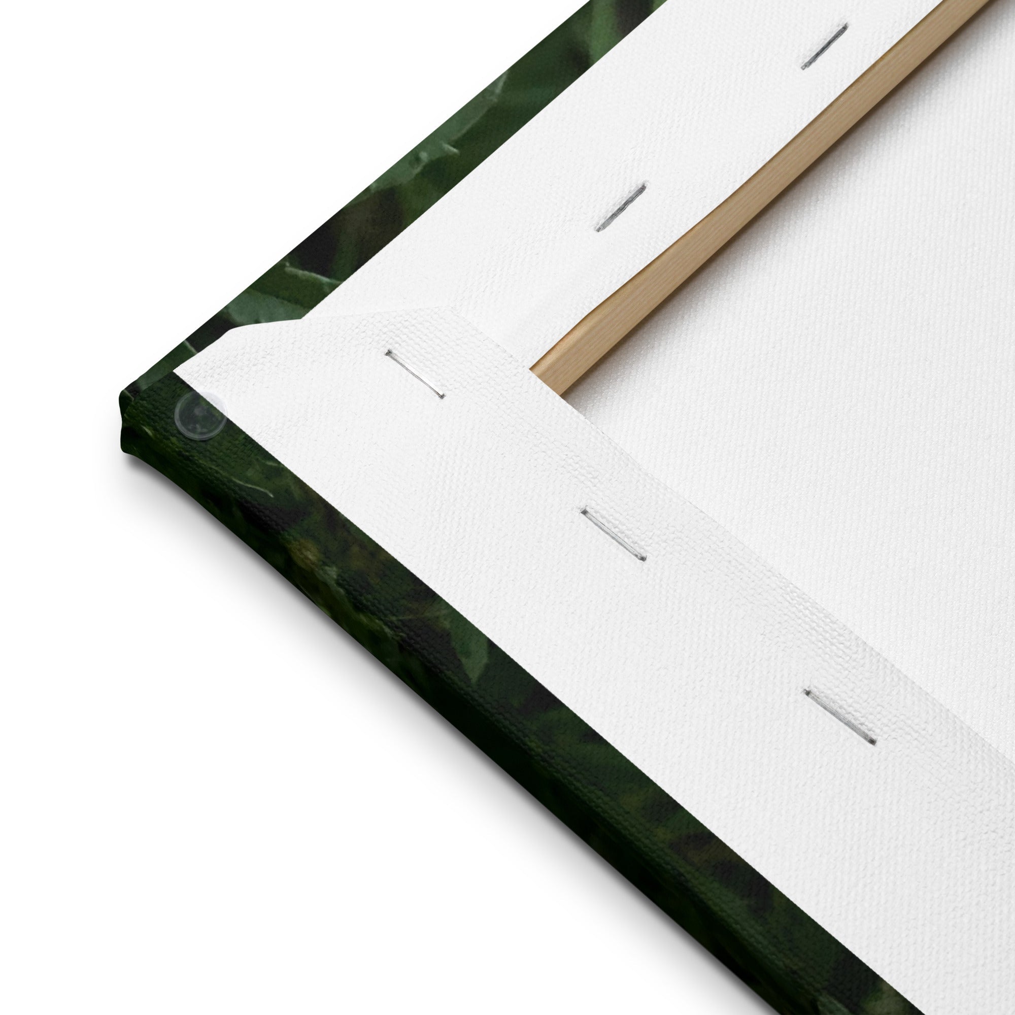 Canvas Print Back: Gallery Wrapped, Stretched Canvas Art, Lightweight Mounting