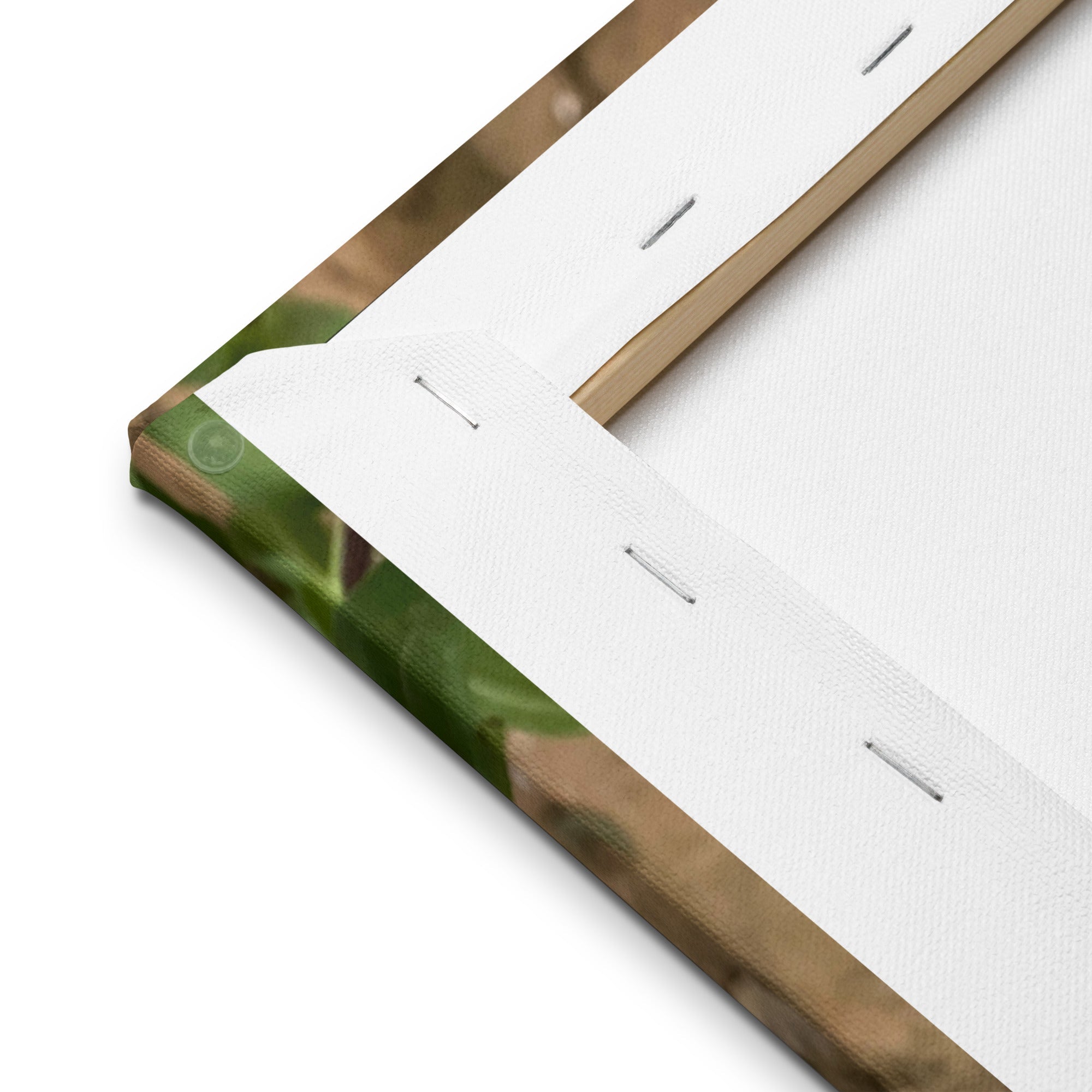 Close-up Canvas Print Corner - Floral Wall Art by Main Street Collective