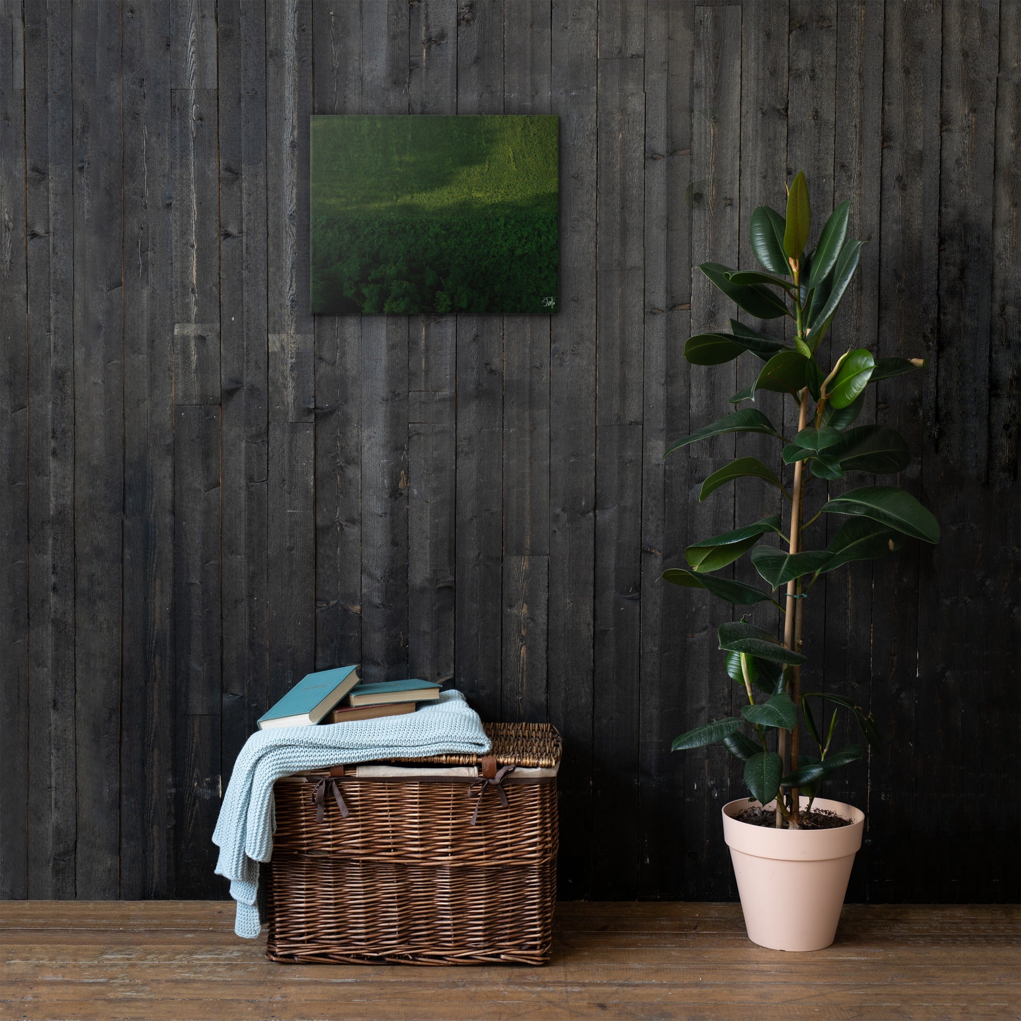 Green Plains Canvas Art: Minimalist Interior Decor with Nature-Inspired Wall Art and Ficus Plant