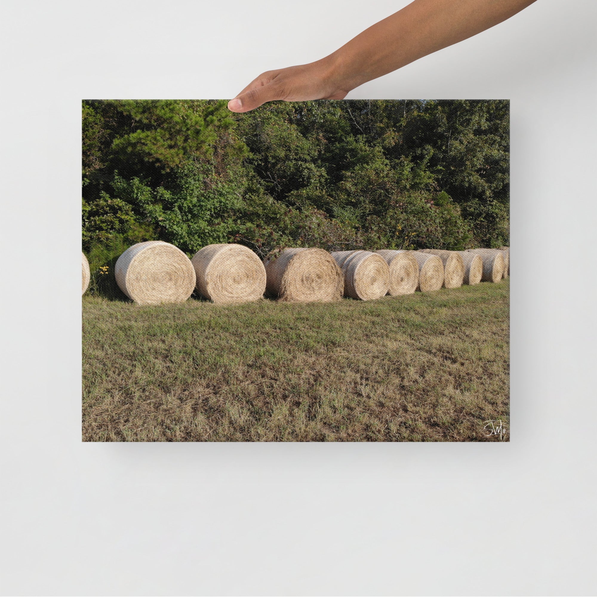 Hay Bales Landscape Thin Canvas Print - Row of Rustic Rolls Wall Art Decor