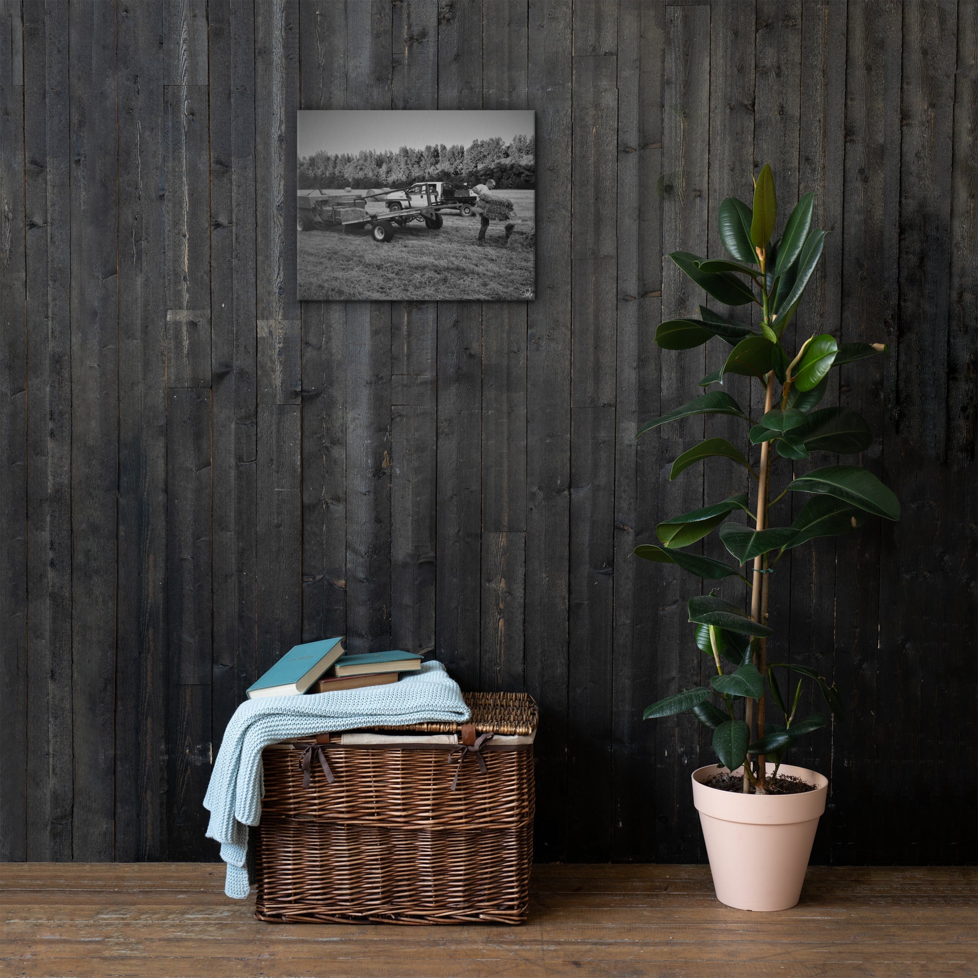 Room with 'Hay Fever' Canvas by Main Street Collective: rustic decor, plant, storage trunk. Canvas Art.