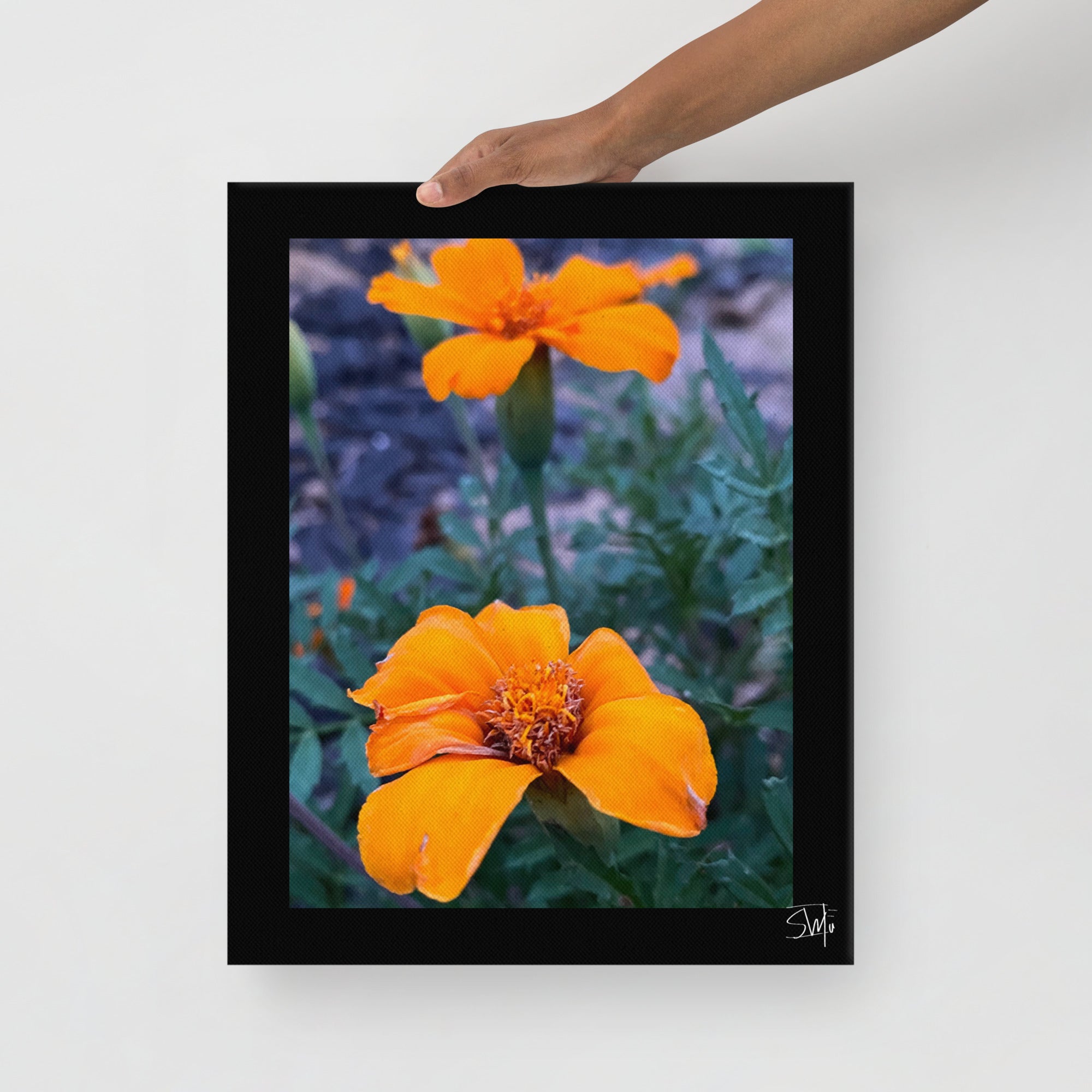 Orange Flower Canvas Print: Modern framed floral art, vibrant blossom, ready to hang. Main Street Collective art.