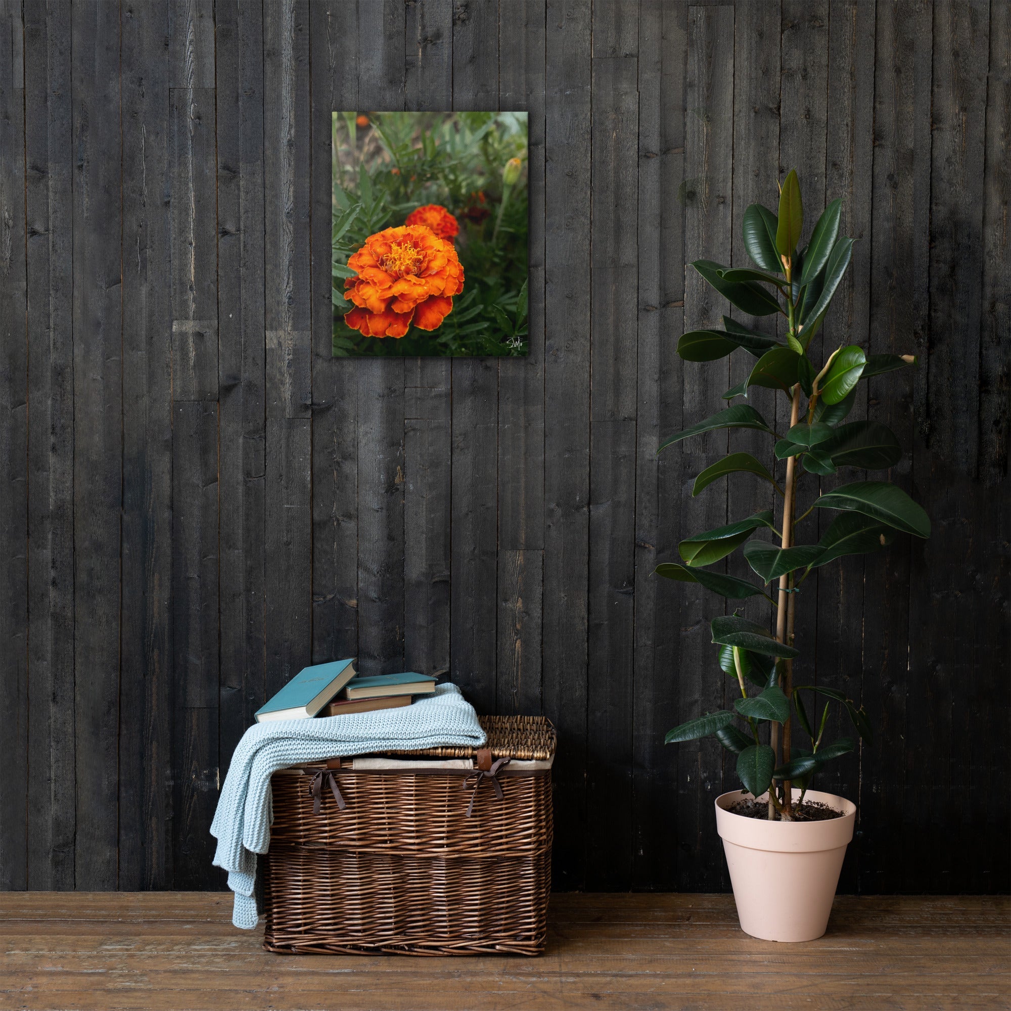 Orange Flower Canvas Art: Vibrant floral wall decor by Main Street Collective. Add a touch of nature to your space!