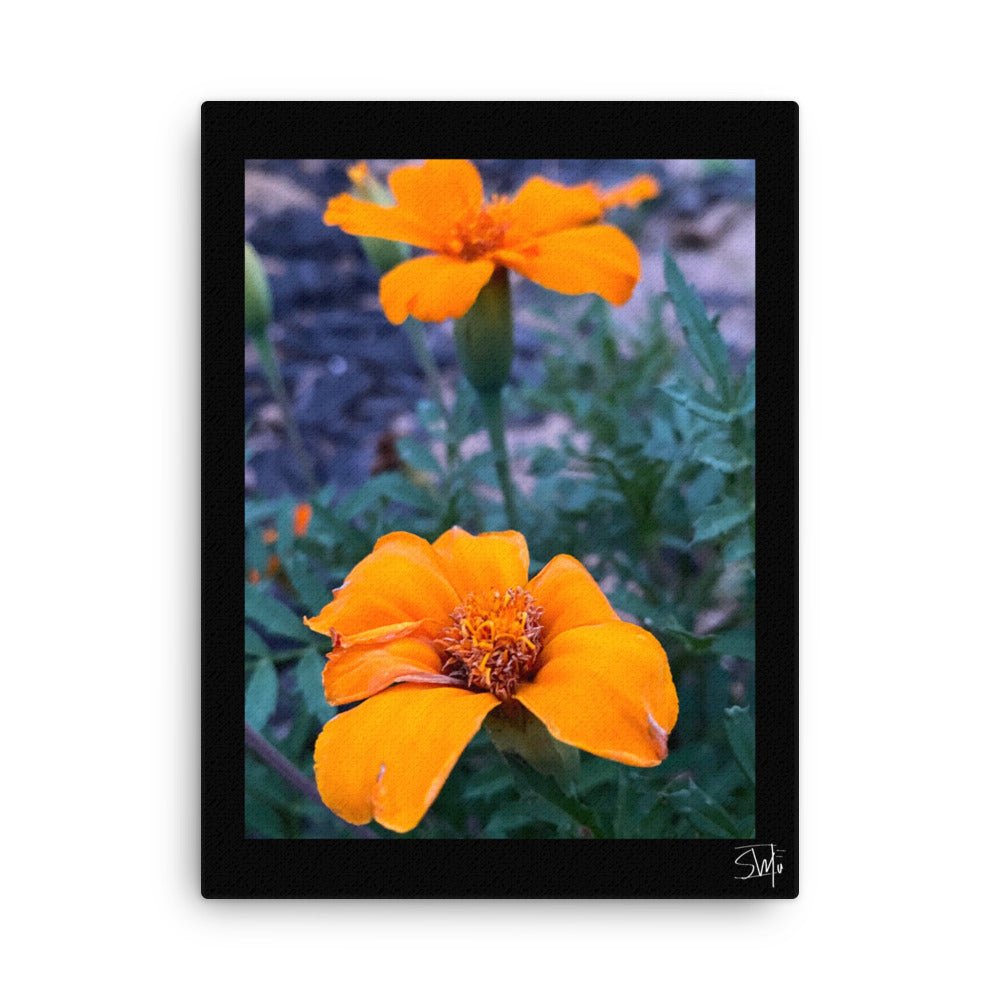 Orange Flower Canvas Art: Vibrant Floral Wall Decor, Botanical Print