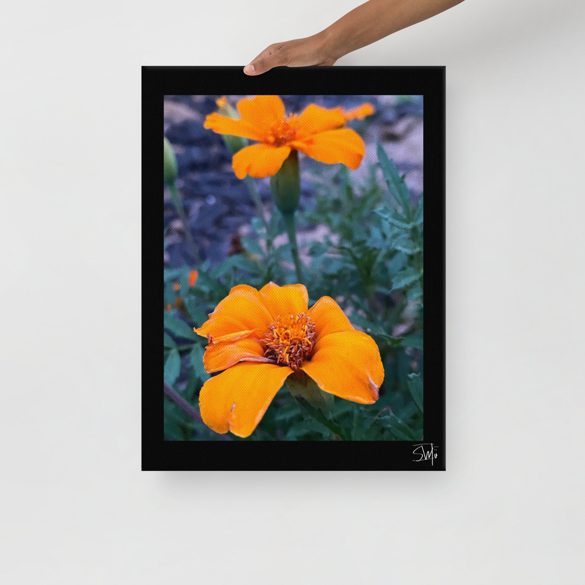 Orange Flower Framed Canvas Print | Main Street Collective
