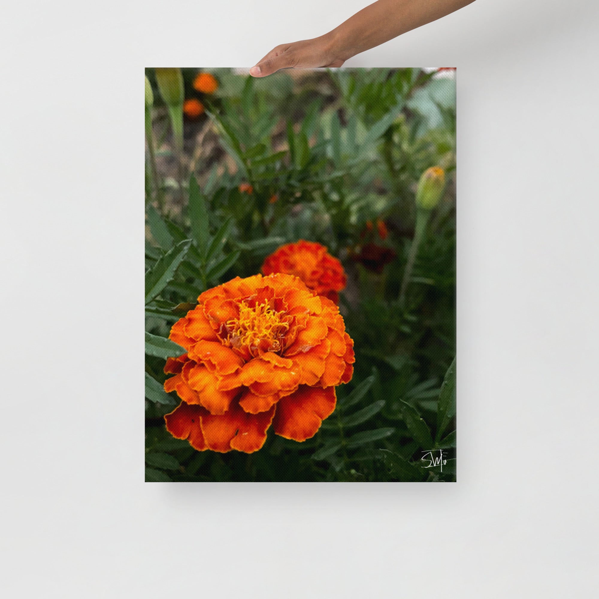 Orange Flower Canvas Print: Vibrant Floral Wall Art, Modern Home Decor