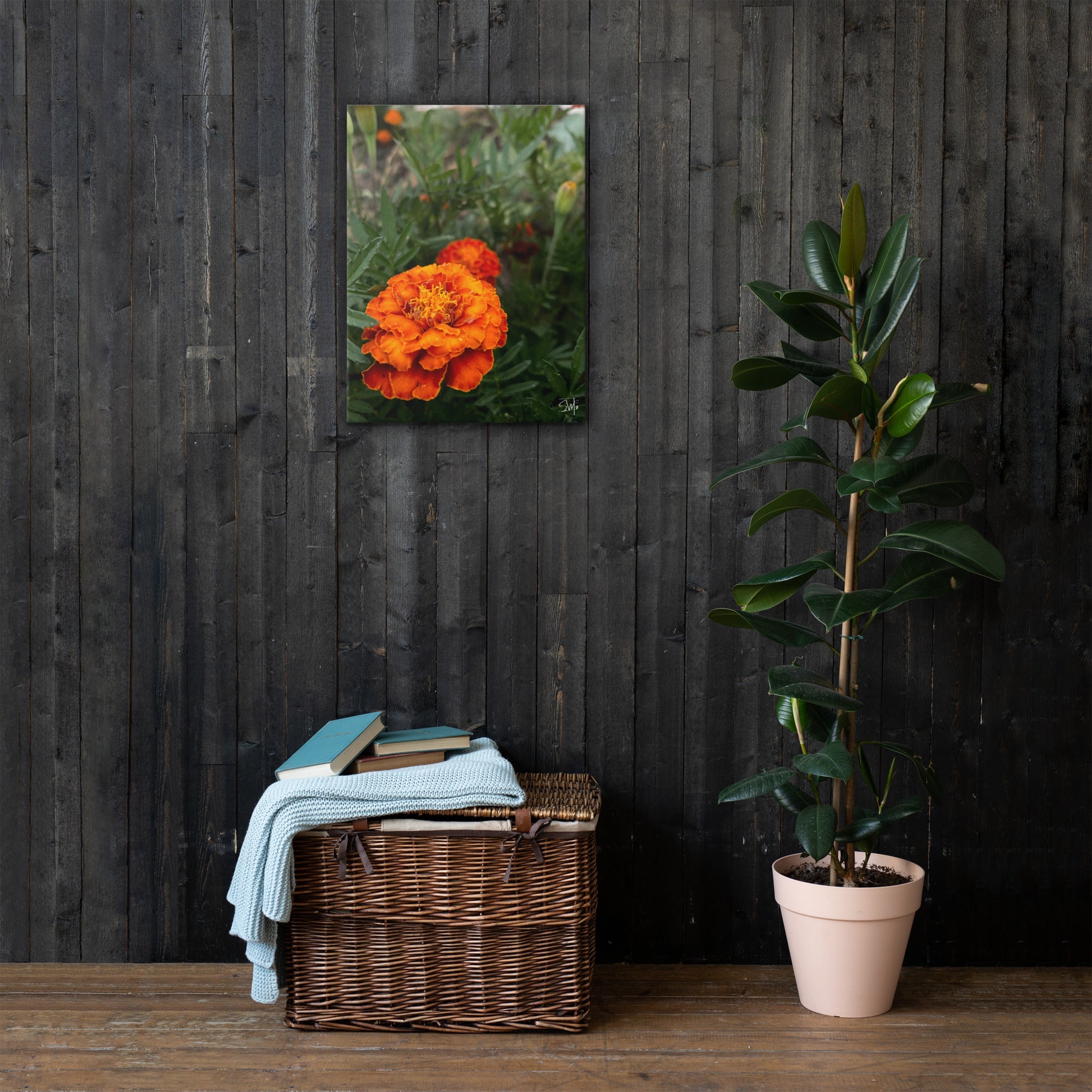 Orange Flower Canvas Art: Marigold Print, Botanical Home Decor