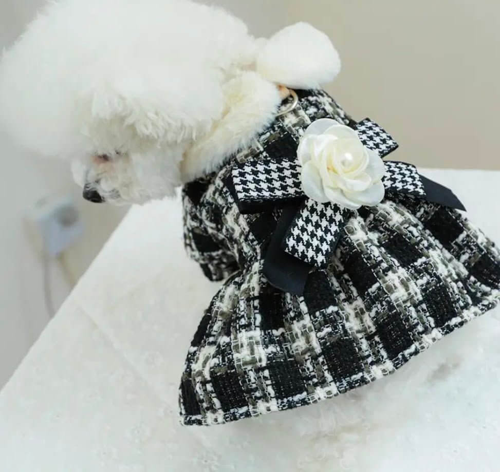 Dog Dress: Houndstooth Tweed with Faux Fur Collar. Elegant Pet Apparel by Coastal Couture