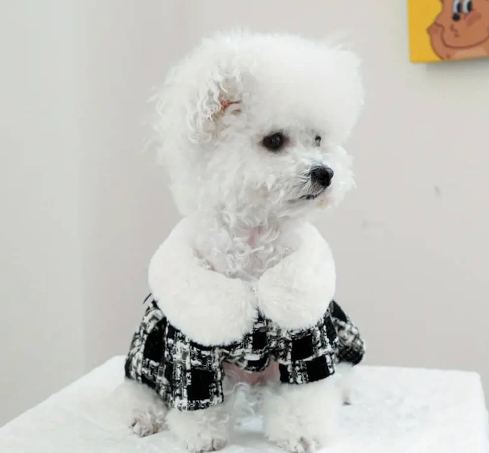 Dog Dress Tweed Houndstooth with Faux Fur Collar by Coastal Couture Pet Boutique | Main Street Collective Mississippi