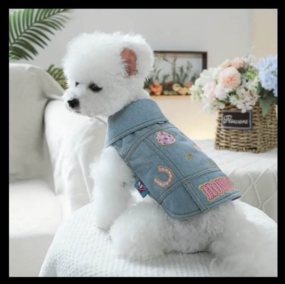 Denim Dog Jacket - Western Howdy Embroidered Jean Jacket for Small Dogs | Coastal Couture Pet Boutique